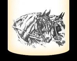 Monocacy Equine