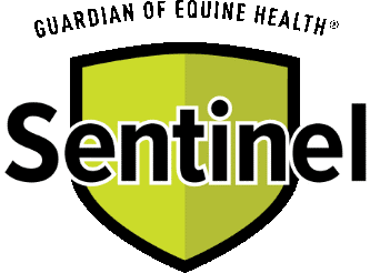 Sentinel